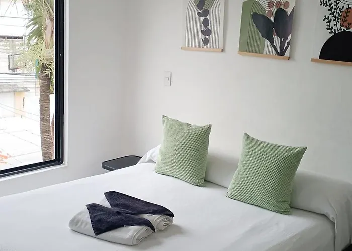 Tauch Cancun CentroHostal